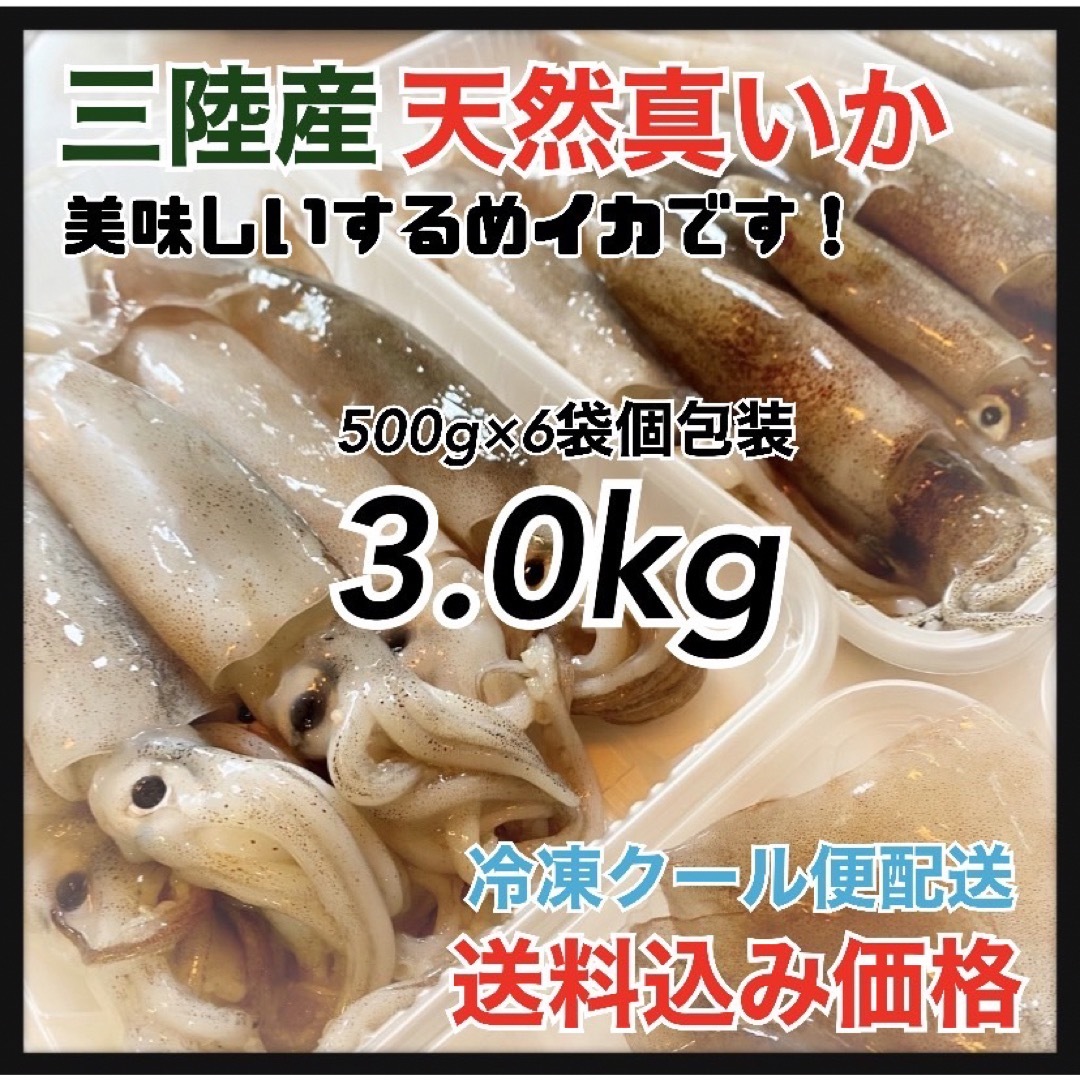 するめいか鯣烏賊】岩手県産3kg 個包装500g×6袋 天然素材 産地直送 - 魚介