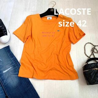 ラコステ(LACOSTE)のLACOSTE 大きいサイズTシャツ　サイズ42(Tシャツ(半袖/袖なし))