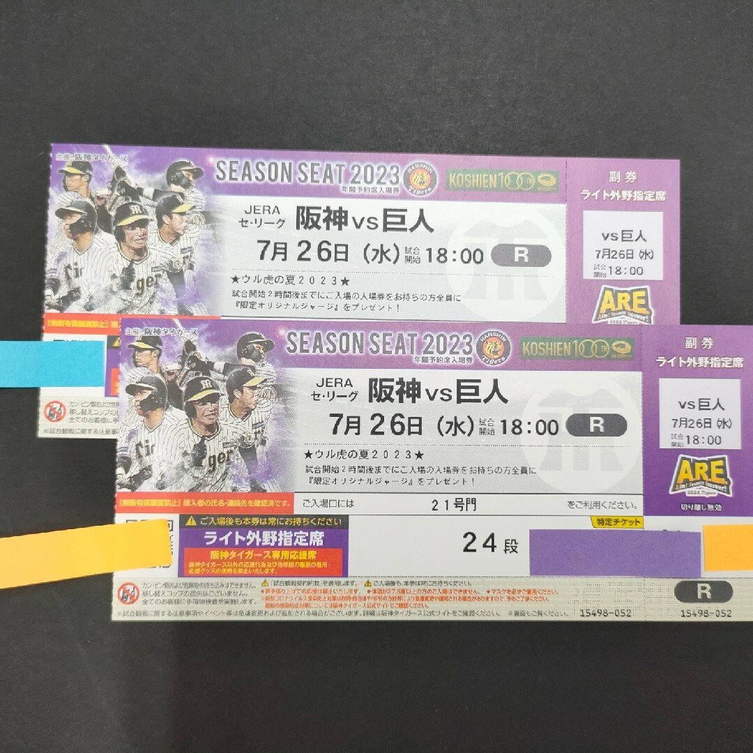 阪神タイガース(ハンシンタイガース)の7/26(水)vs.巨人戦 外野席【ペア・雨補有】 チケットのスポーツ(野球)の商品写真