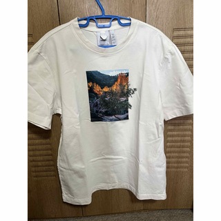 アディダス(adidas)のアディダスTシャツ　Lサイズ(Tシャツ/カットソー(半袖/袖なし))