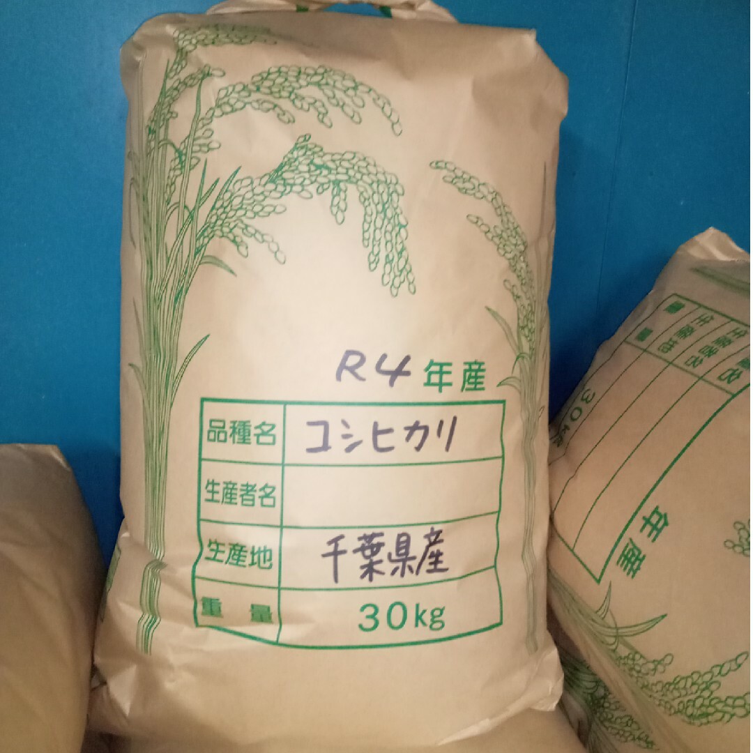 令和4年産　千葉県産　コシヒカリ　玄米　30キロ