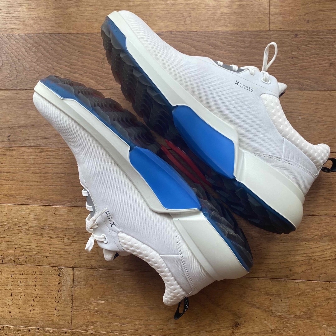 ECCO MEN'S GOLF BIOM H4 （ゴアテックス） 2