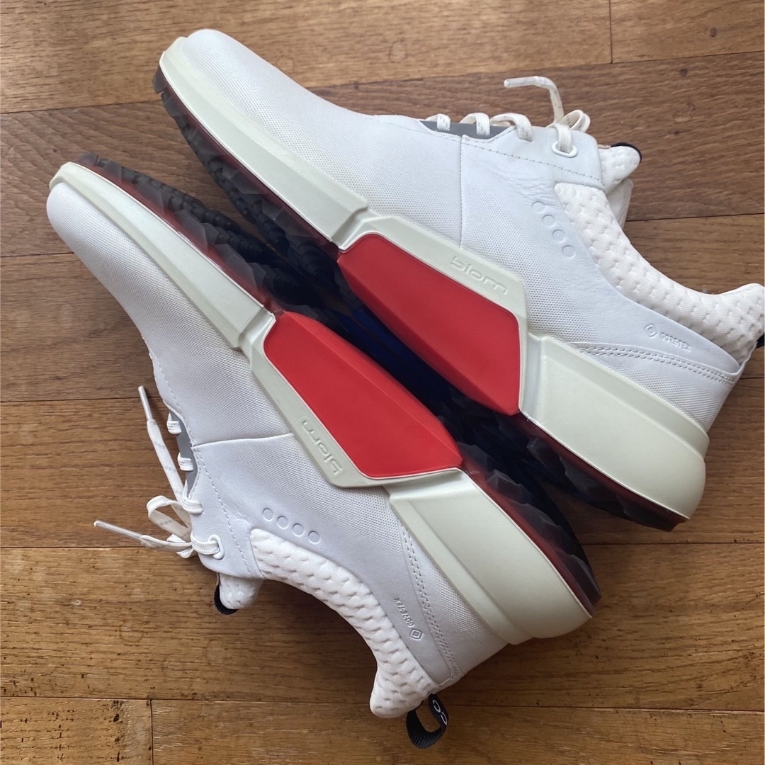 ECCO MEN'S GOLF BIOM H4 （ゴアテックス） 1