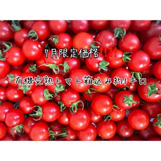 7月限定セール！！　有機完熟トマト(野菜)