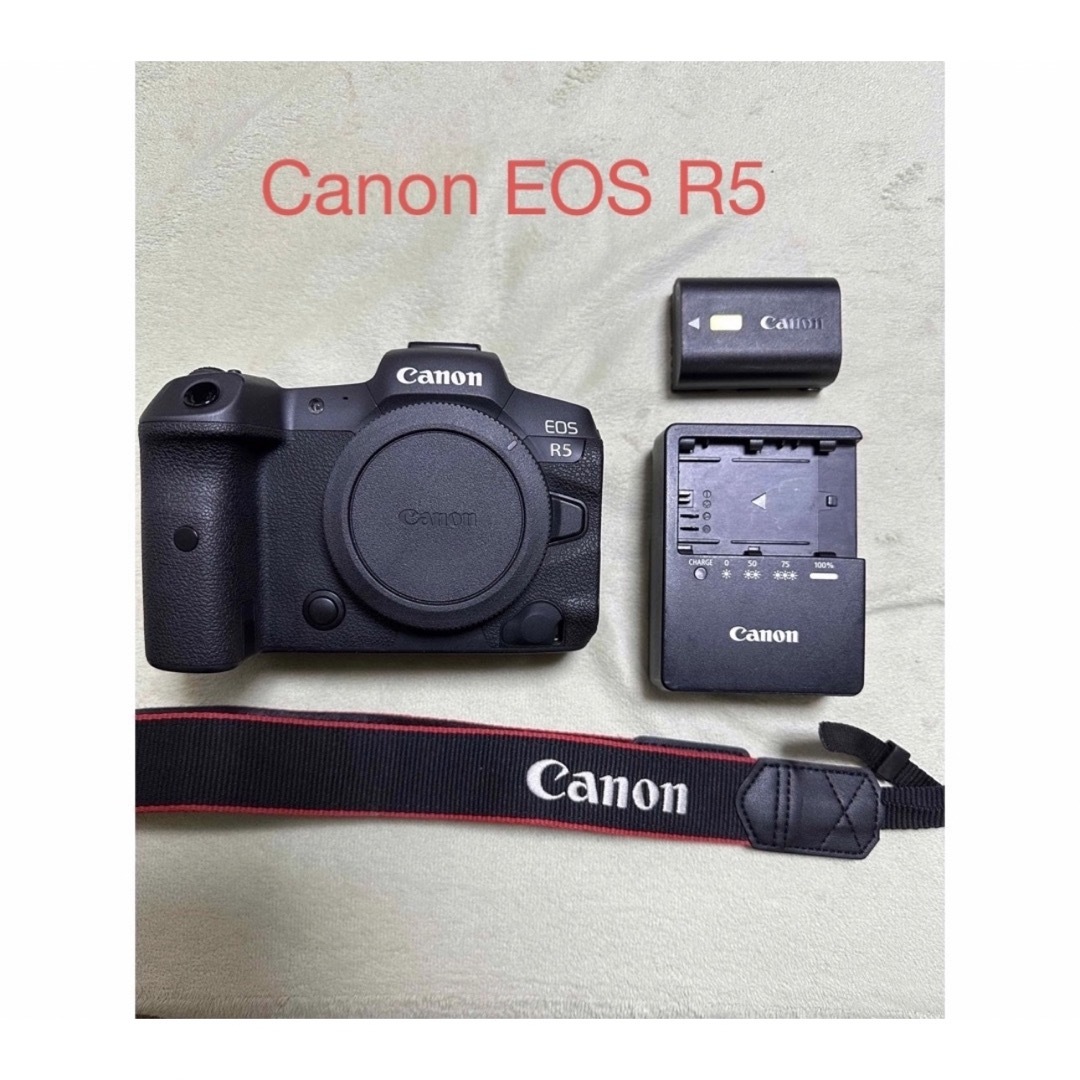 Canon - 2023年7月購入、保証残有 Canon EOS R5ミラーレス一眼レフ