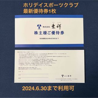 ホリデイ(holiday)の東祥 ホリデイスポーツクラブ 優待券 チケット 施設利用(フィットネスクラブ)