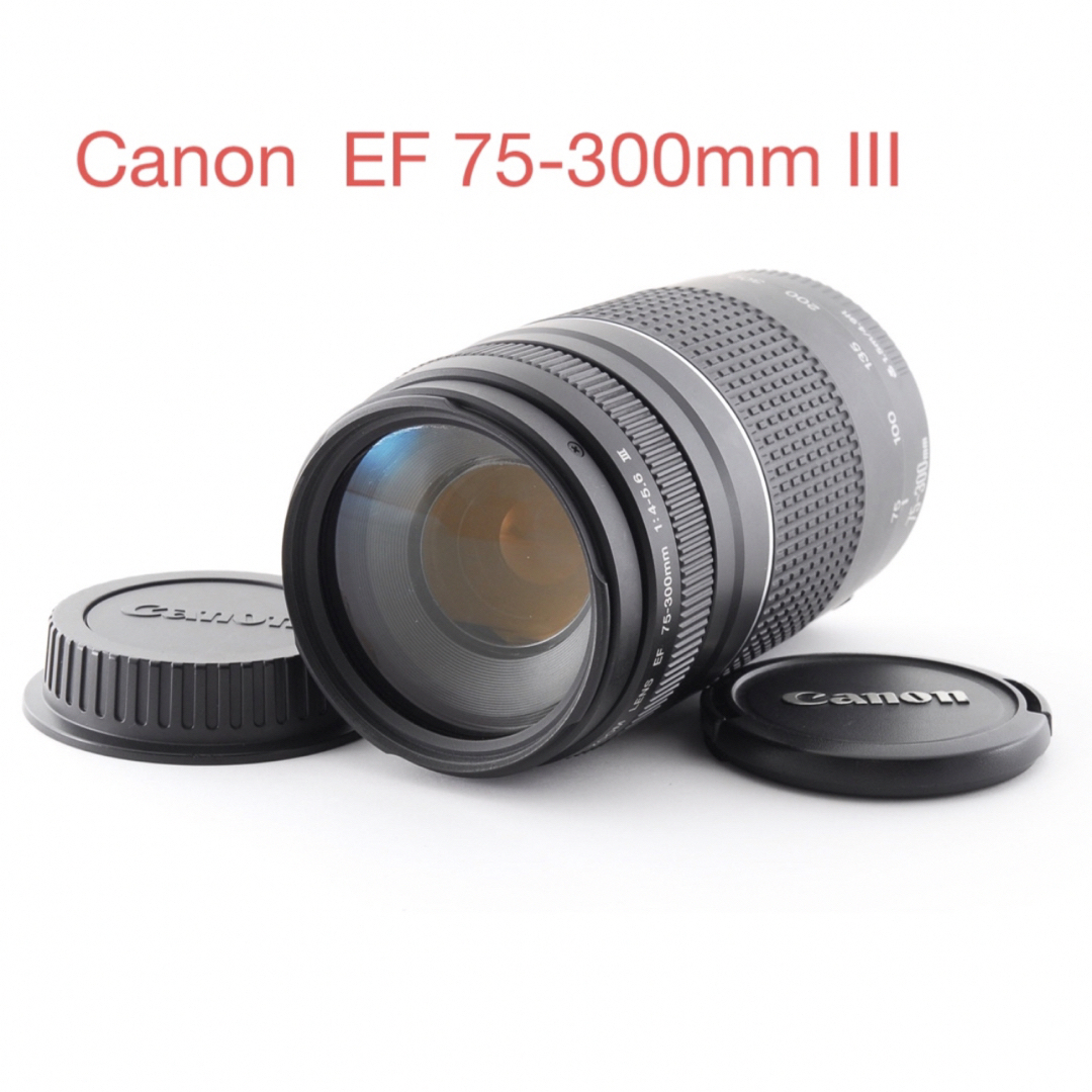 Canon - キャノン 望遠レンズ☆CANON EF 75-300mm F4-5.6 IIIの+nuenza.com