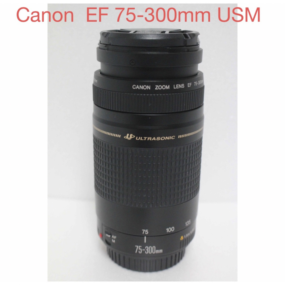 Canon - 望遠レンズ☆キャノン☆Canon EF 75-300mm USMの+aei.art.br