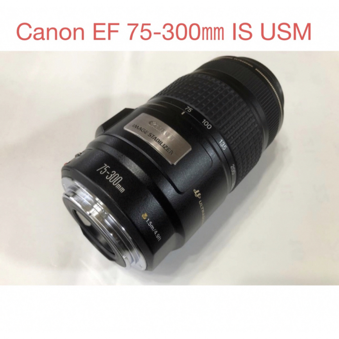 ☆キャノン 手ぶれ補正レンズ☆Canon EF 75-300mm IS USM カメラ ☆キャノン 手ぶれ補正レンズ☆Canon EF 75-300mm IS USM カメラ