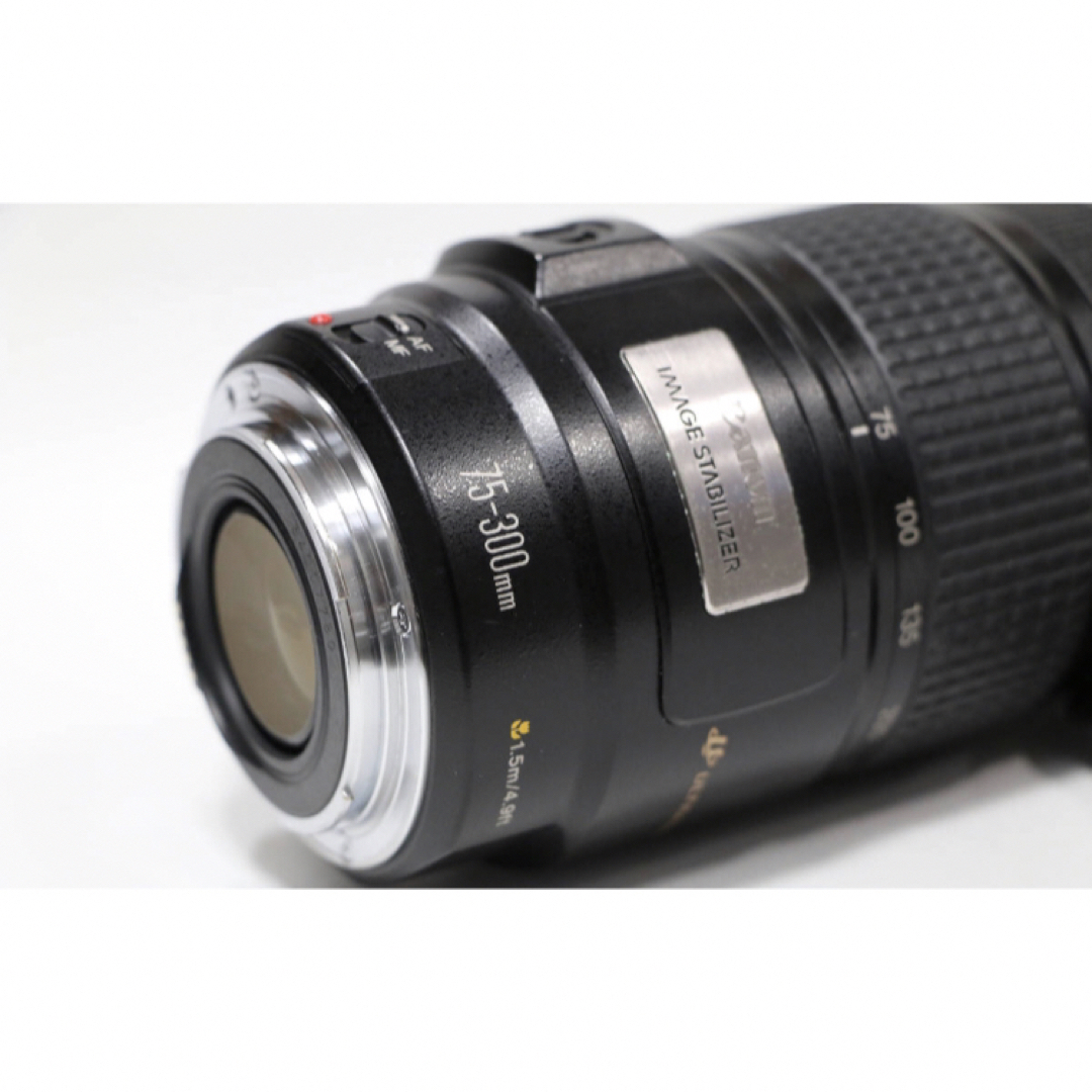 ☆キャノン 手ぶれ補正レンズ☆Canon EF 75-300mm IS USM カメラ ☆キャノン 手ぶれ補正レンズ☆Canon EF 75-300mm IS USM カメラ