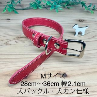 犬　首輪　お散歩　本革　やさしい首当たり　しなやかな本革　レッド　Mサイズ(リード/首輪)