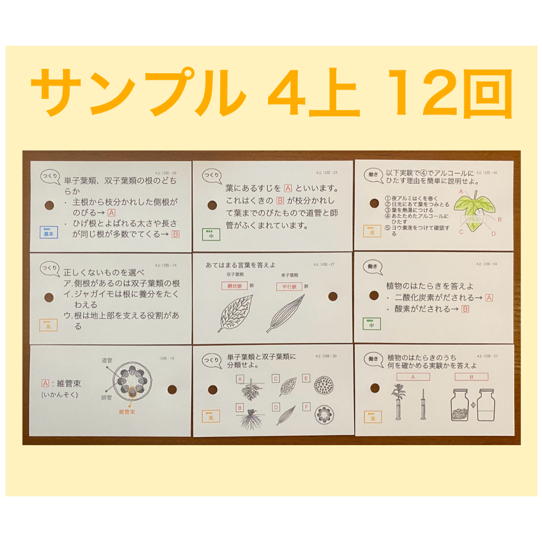 中学受験【4年上全セット 理科 1-19回】暗記カード 予習シリーズ