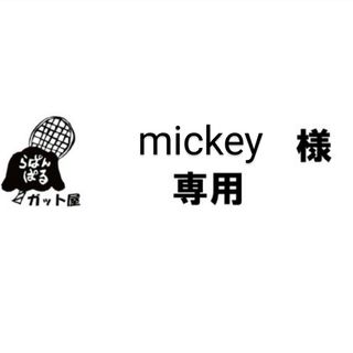 テクニファイバー(Tecnifibre)の【mickey様専用ページ】2張りセット(その他)