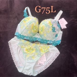 非対面販売 《新品》ワコール サルート、おとめ座、オシャレ下着上下