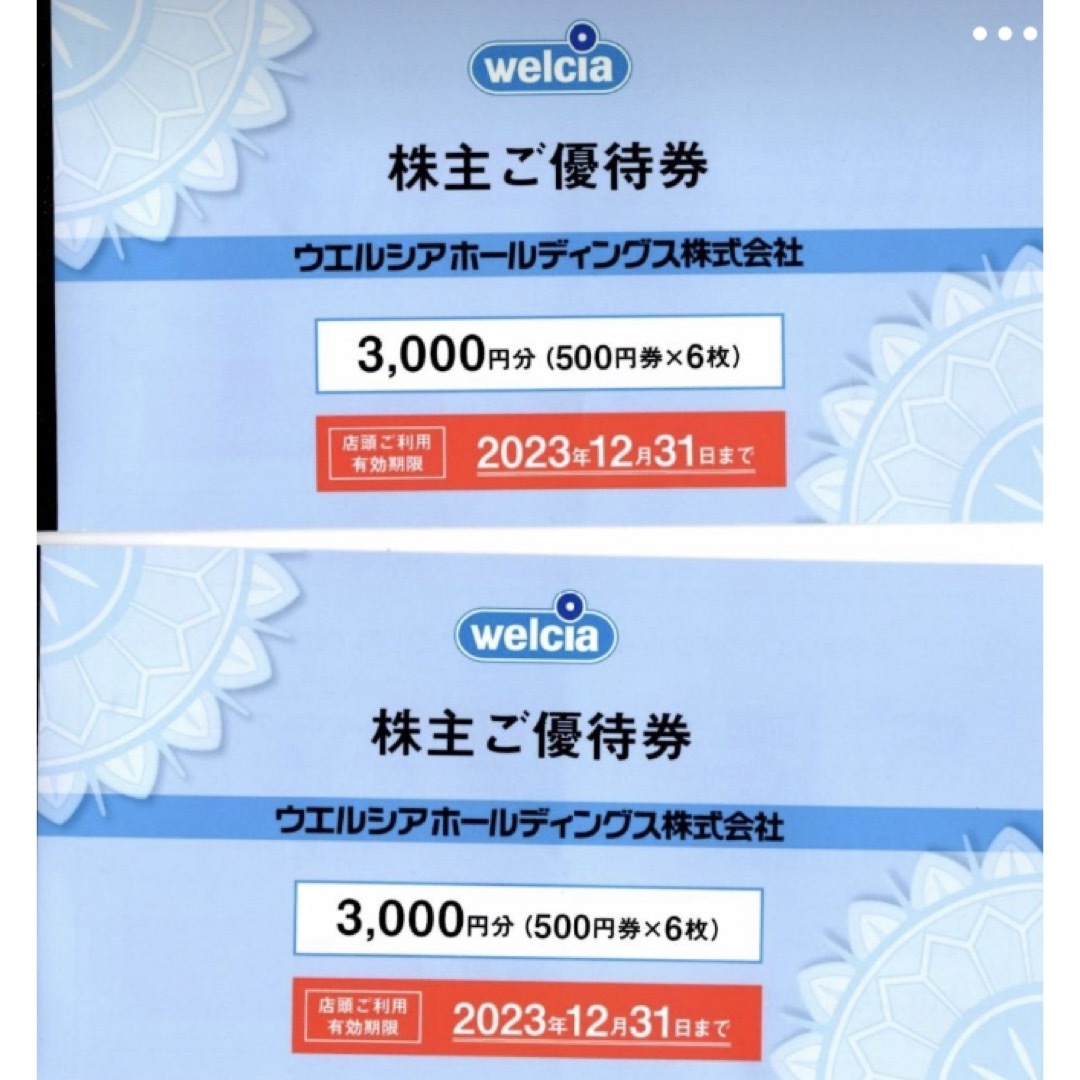 ウエルシア　株主優待　6000円分