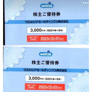 ウェルシア株主優待 6000円分 匿名発送