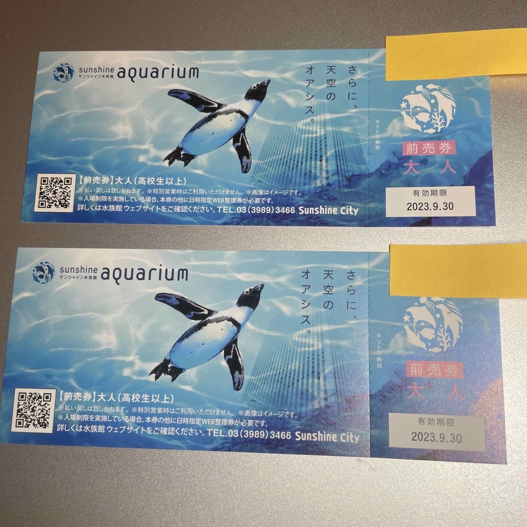 サンシャイン水族館 前売り券 大人2枚 - 水族館