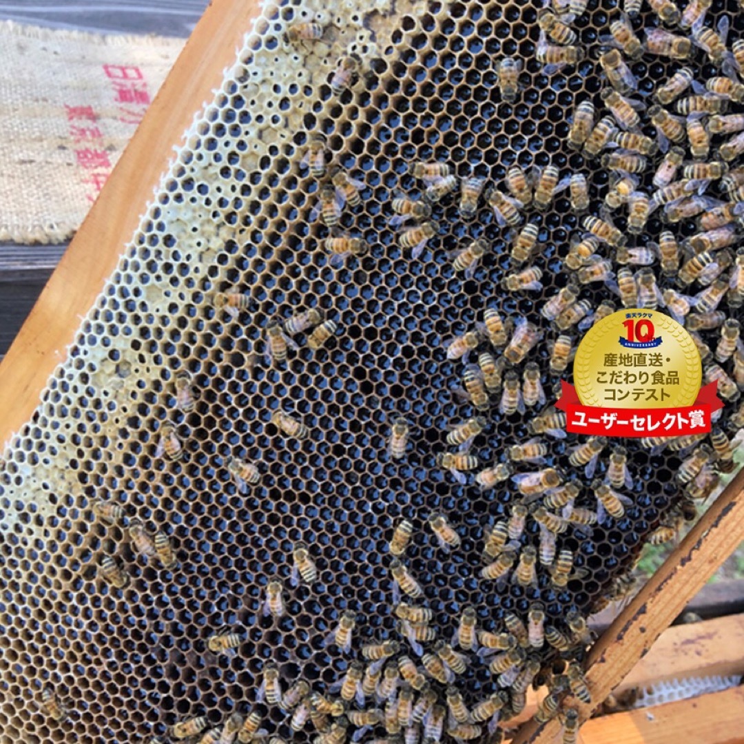 採れたて‼️とことん濃さにこだわった牧之原HONEY みかん蜜200g 食品/飲料/酒の健康食品(その他)の商品写真