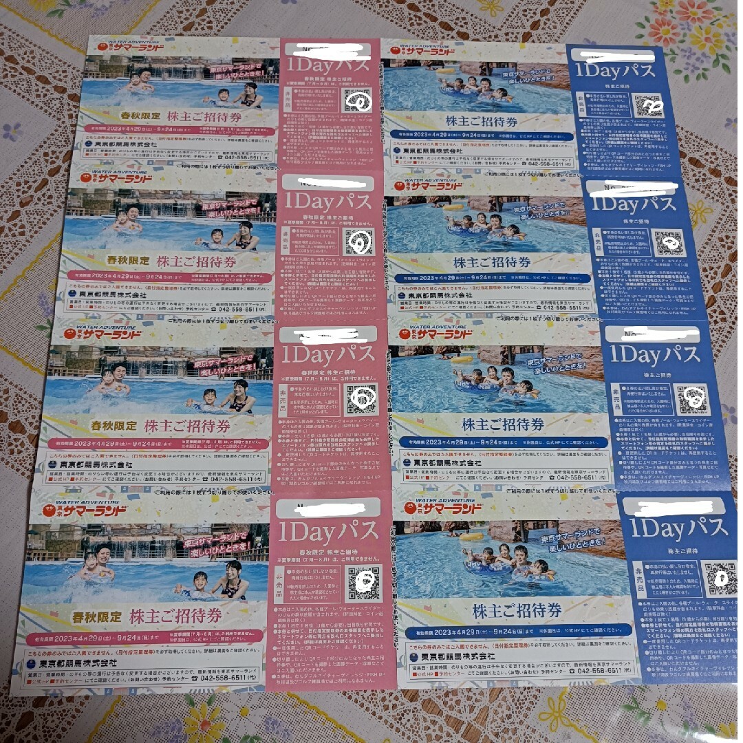 東京サマーランド 株主優待 1DAYパス ➀-