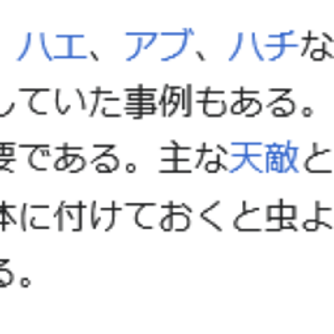 ＜クリップ仕様＞2個セット　虫除け オニヤンマっぽいロープ スポーツ/アウトドアのスポーツ/アウトドア その他(その他)の商品写真