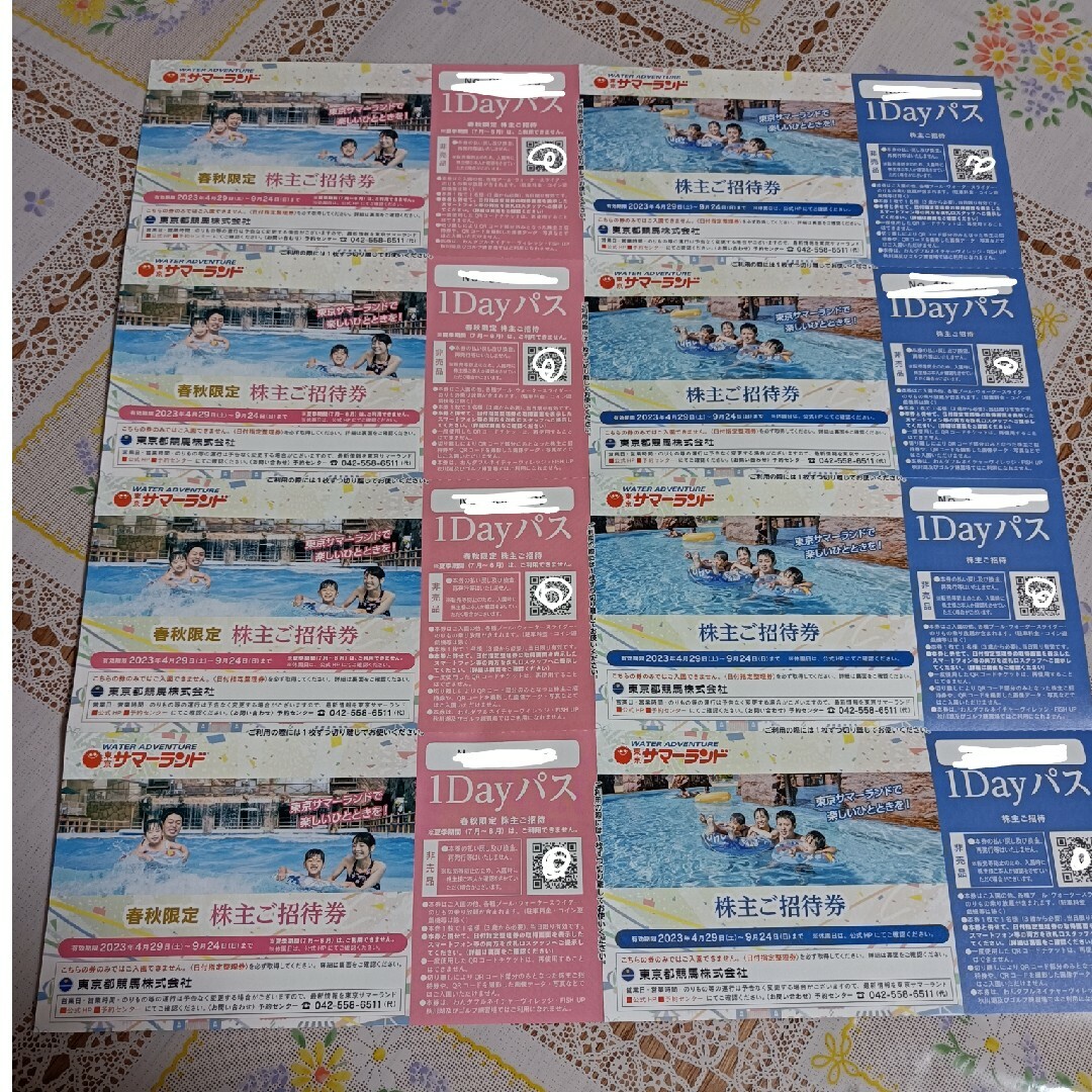 東京サマーランド　株主優待券　1DAYパス　➂ チケットの施設利用券(プール)の商品写真