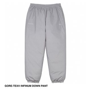 ステューシー(STUSSY)のstussy GORE-TEX INFINUM DOWN PANT Lサイズ(その他)