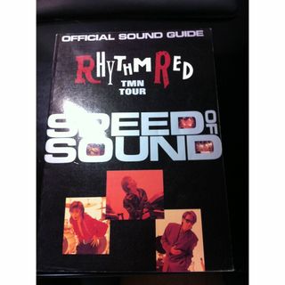 【貴重】TMN RHYTHM RED TOUR OFFICIAL SOUND G(その他)