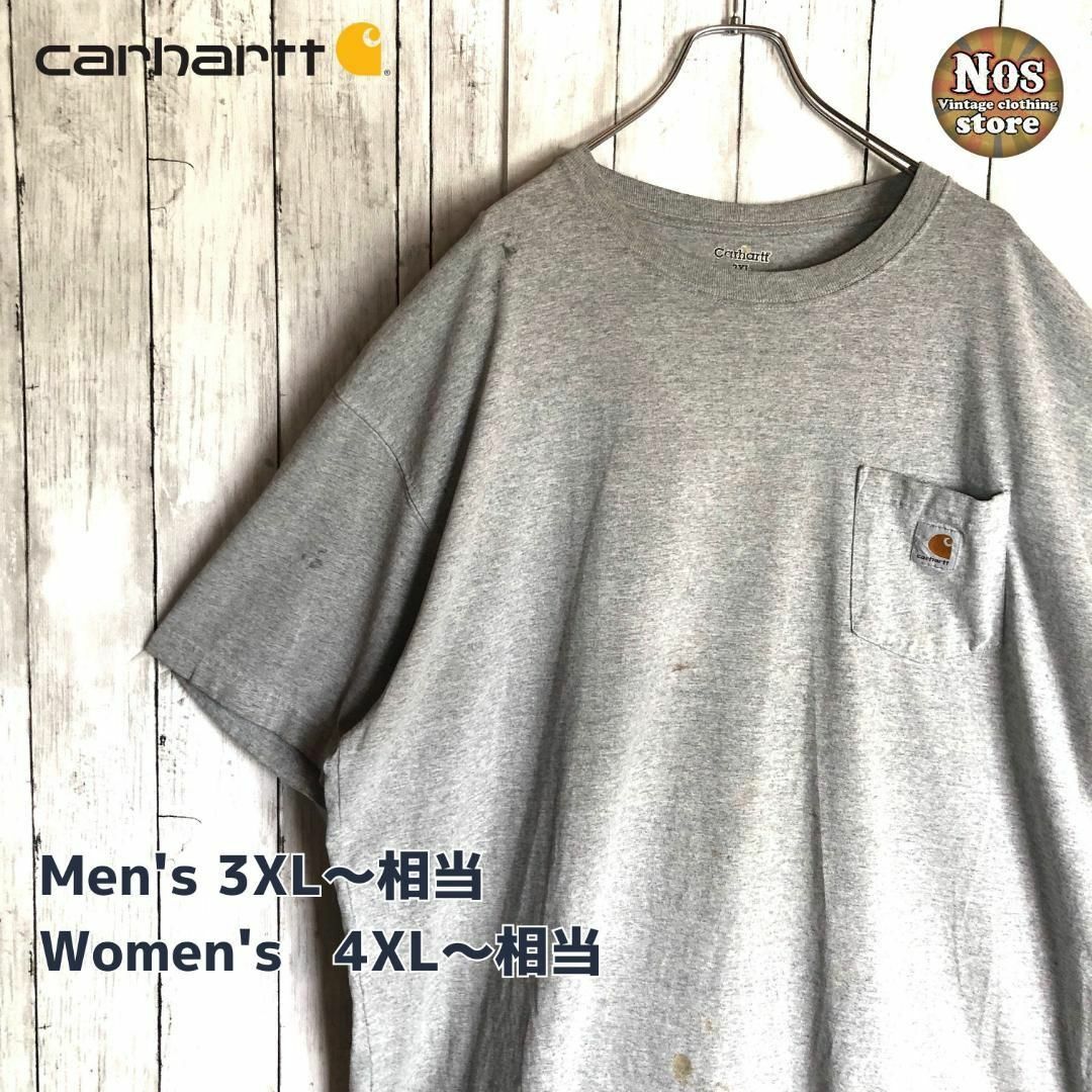 【超ビッグ】カーハート Carhartt 半袖T 胸ポケ ロゴ 海外