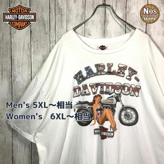 ハーレーダビッドソン(Harley Davidson)の【白タグ】USA製 超BIG ハーレーダビッドソン 半袖 両面 企業ロゴ(Tシャツ/カットソー(半袖/袖なし))