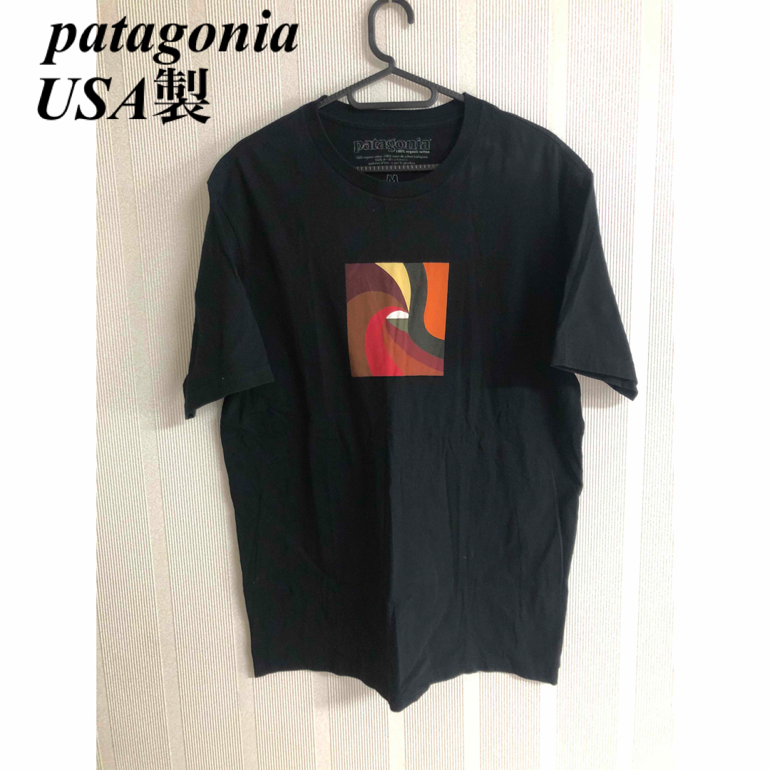 パタゴニア  patagonia  Tシャツ　アメリカ製　秀岳荘