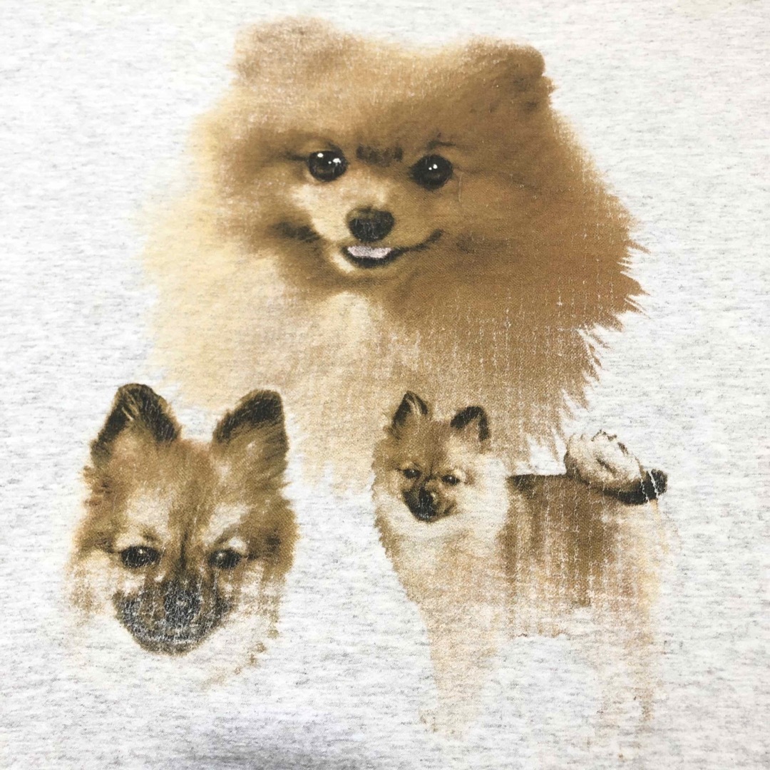 s USA製 ビンテージ 犬tシャツ ポメラニアン 昔 いぬ ドッグ