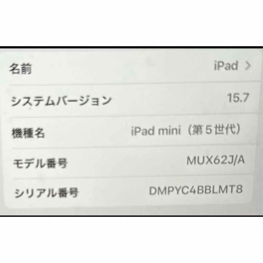 iPad mini 64GB 第5世代Wi-Fi + Cellularモデル