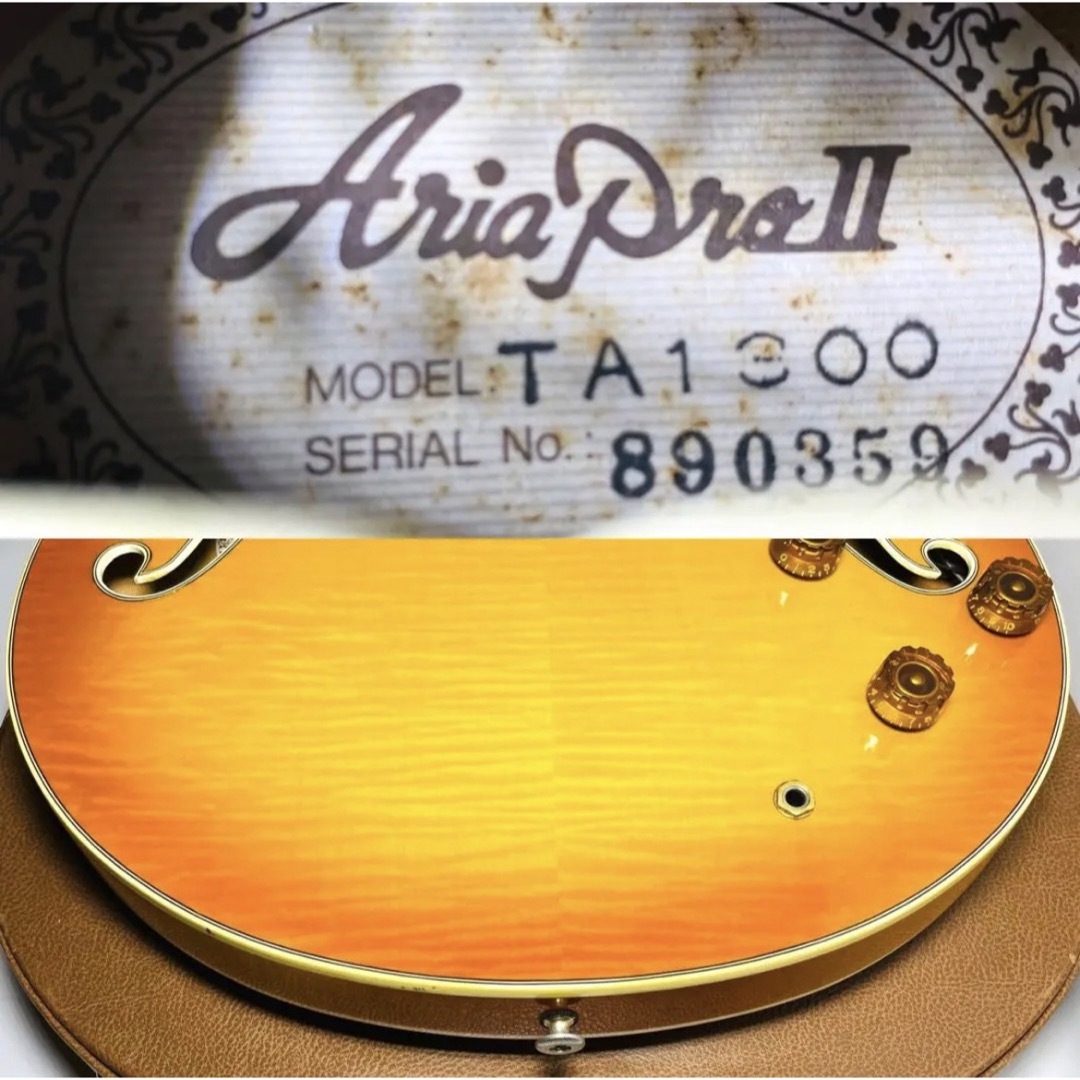 希少】Aria Pro Ⅱ TA-1300 セミアコースティックギター | zold-ut.hu