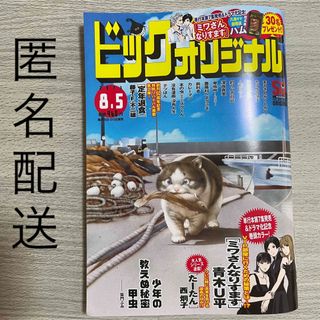 ショウガクカン(小学館)のビッグコミックオリジナル　2023.8.5(漫画雑誌)