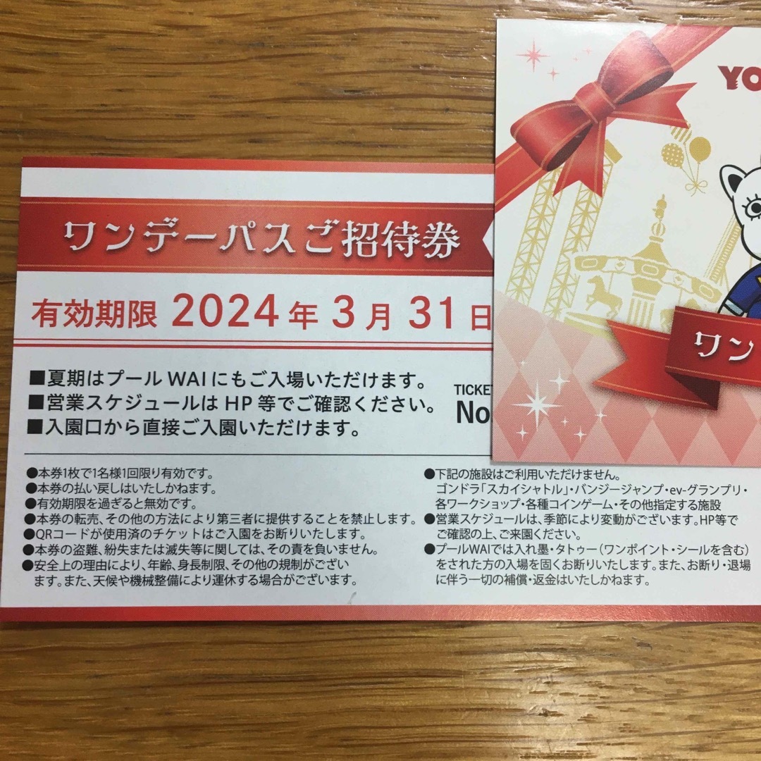 よみうりランド】ワンデーパス×2(定価11600円)プール付き‼️ | www