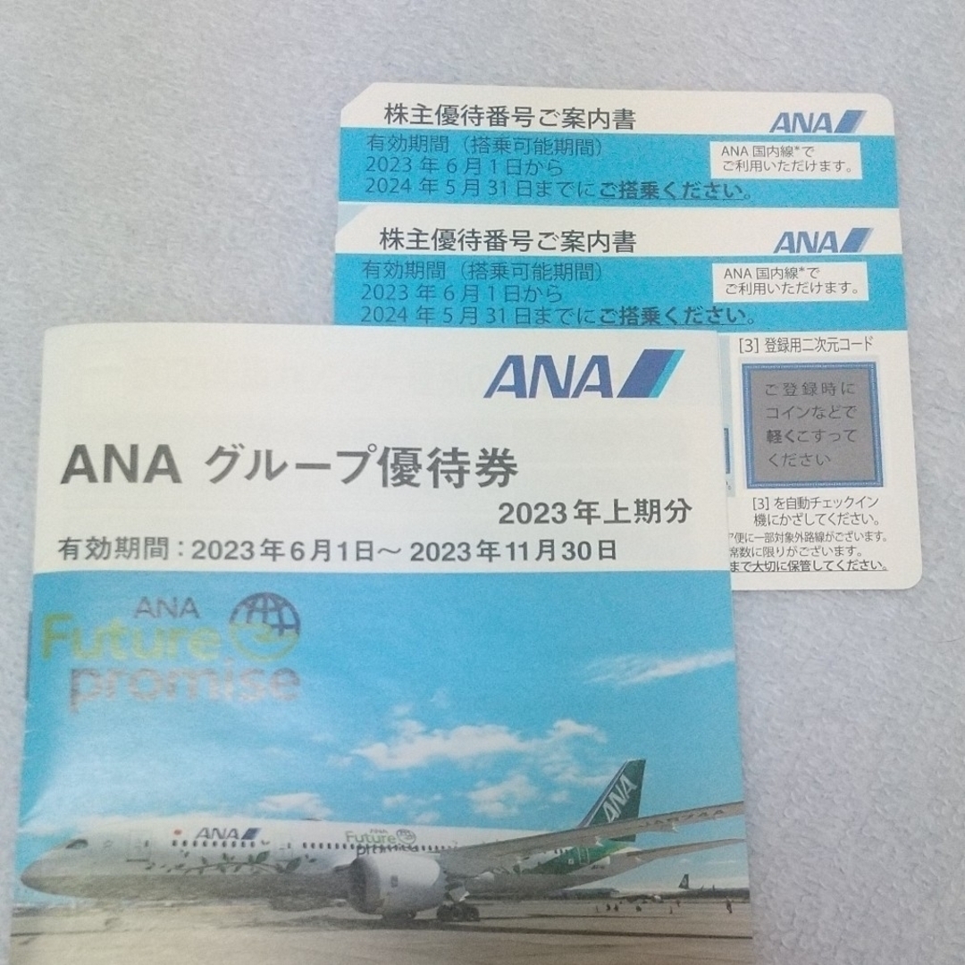 ANA(全日本空輸)(エーエヌエー(ゼンニッポンクウユ))のANA株主優待券２枚 チケットの乗車券/交通券(その他)の商品写真