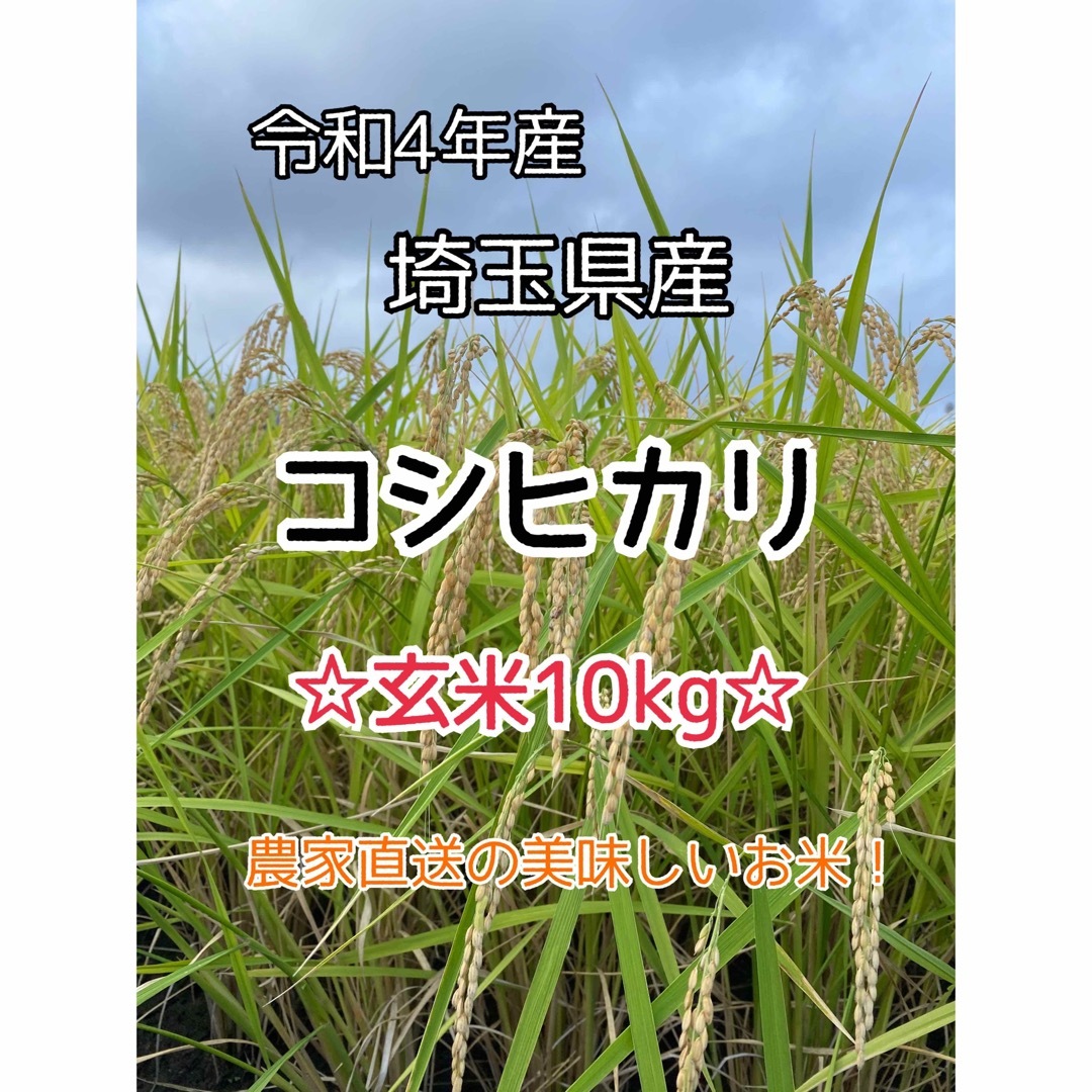 農家直送★新潟県産コシヒカリ★玄米&白米10kgM