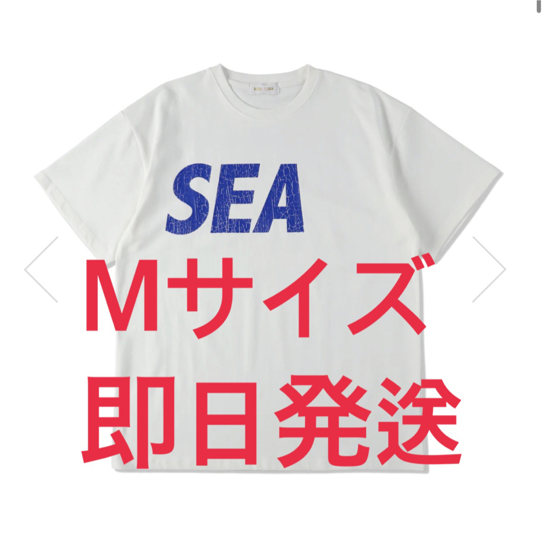 wind and sea SEA (CRACK-P-DYE) S/S TEE