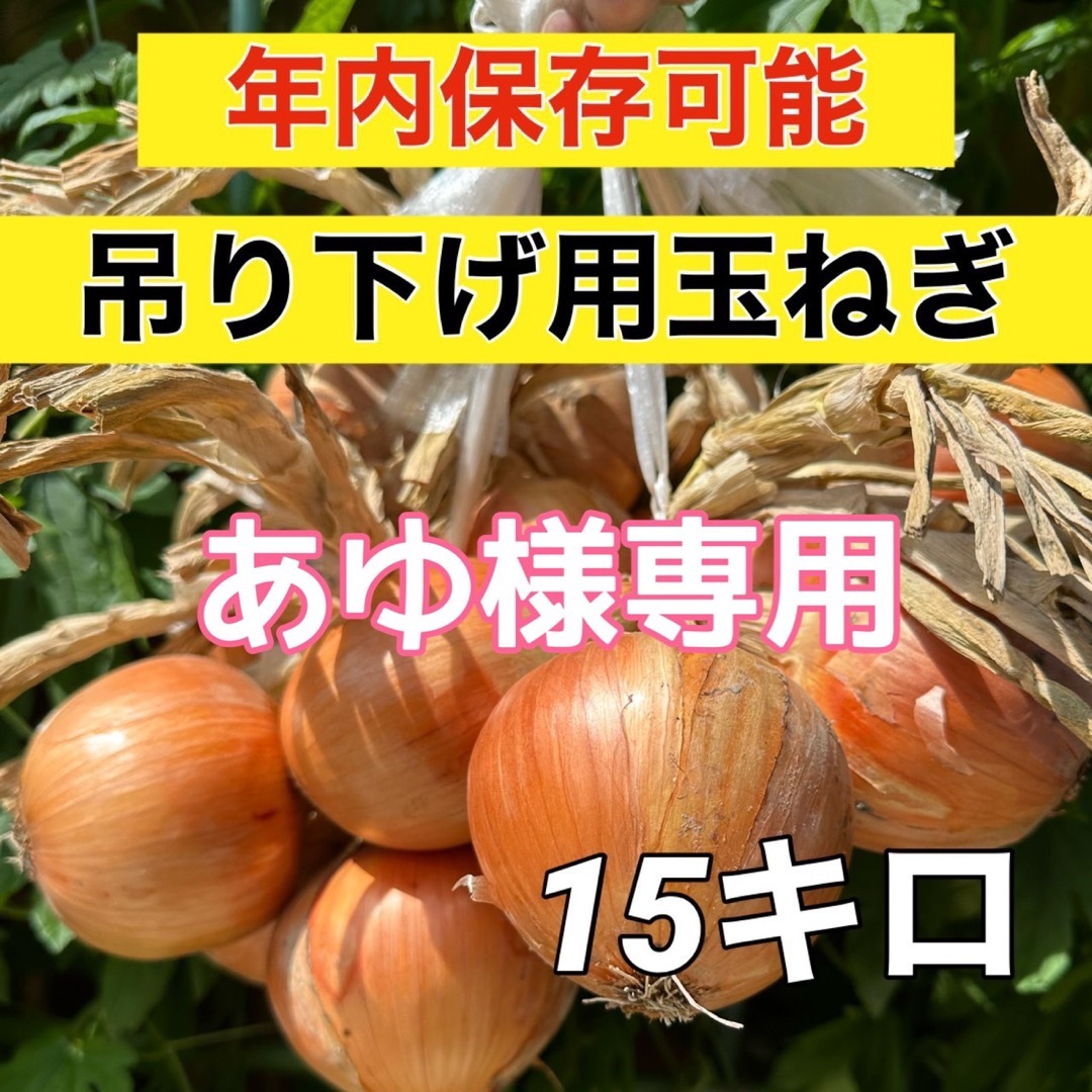 【到着後吊り下げ保存‼️】兵庫県産玉ねぎ15キロ入 食品/飲料/酒の食品(野菜)の商品写真