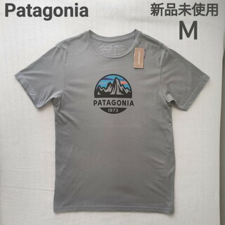 パタゴニア(patagonia)の【新品】patagonia パタゴニア　P-6ミッションTシャツ USA製Ｍレア(Tシャツ/カットソー(半袖/袖なし))