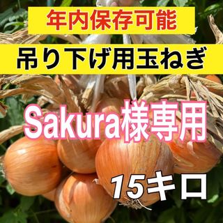 Sakura様専用(野菜)