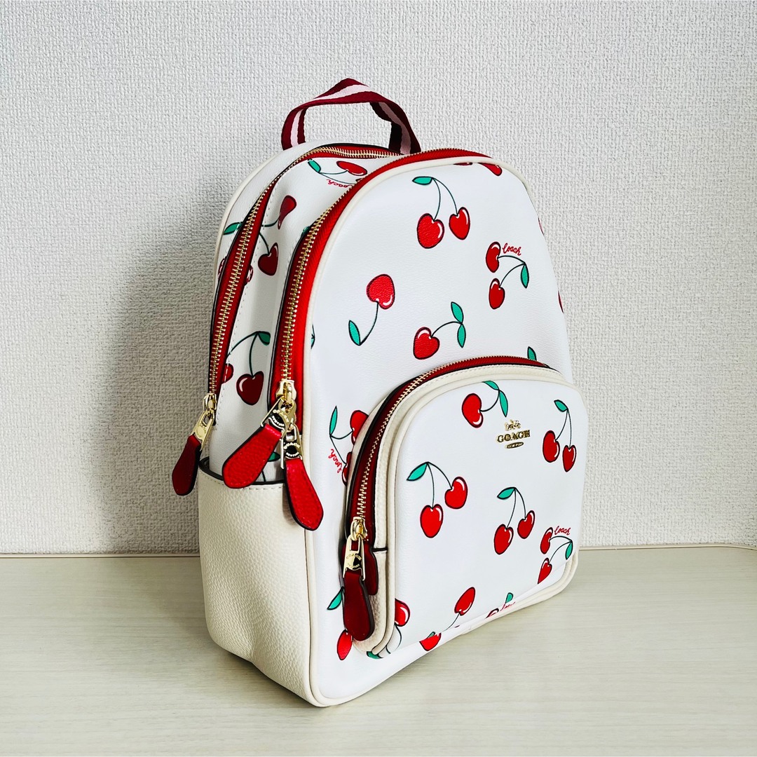 COACH - 【新品未使用】コーチ リュック Heart Cherry Print CE628の ...