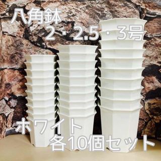 八角鉢セット 白 ◎各10個◎2号・2.5号・３号 アガベ 多肉植物(プランター)