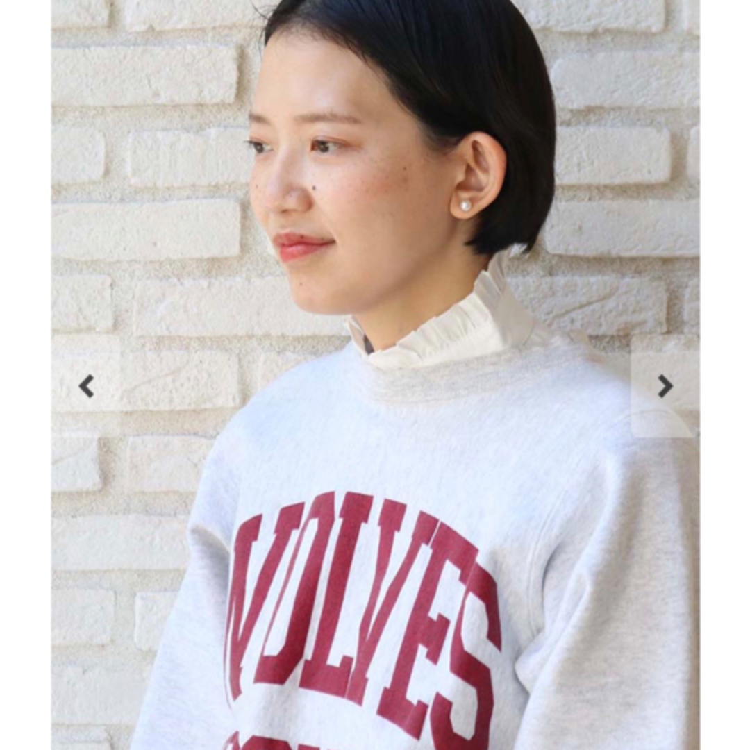 Bleu Bleuet - 【美品】【値下げしました】スタンドフリル付け襟 の ...