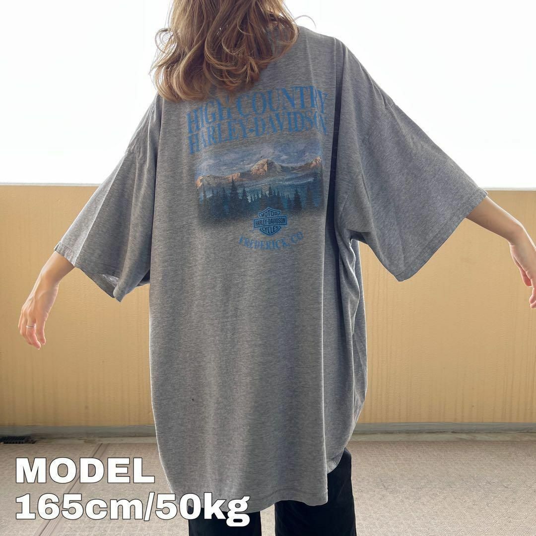 Harley Davidson - ハーレーダビッドソン ロゴプリントTシャツ