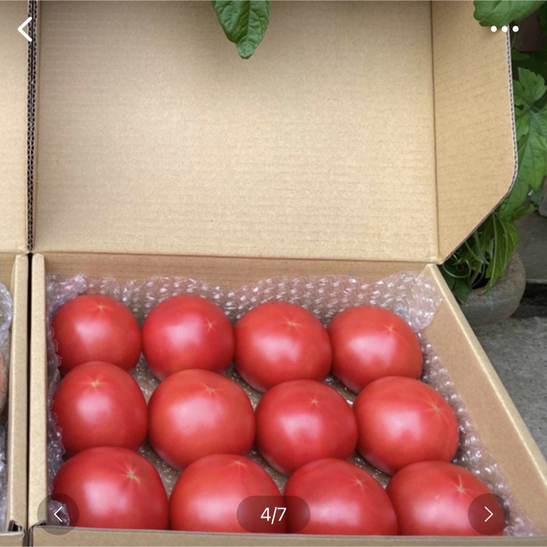 ちょうど良い‼️真っ赤なトマトを60サイズの箱をクール便でお届け‼️ 食品/飲料/酒の食品(野菜)の商品写真