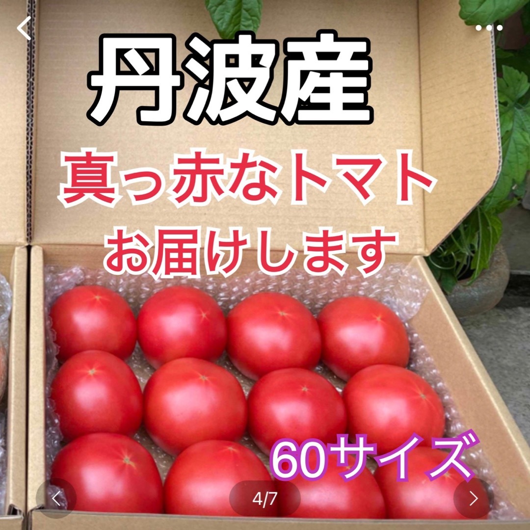 ちょうど良い‼️真っ赤なトマトを60サイズの箱をクール便でお届け‼️ 食品/飲料/酒の食品(野菜)の商品写真