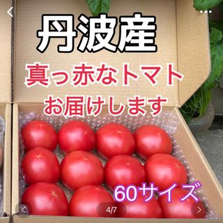 ちょうど良い‼️真っ赤なトマトを60サイズの箱をクール便でお届け‼️(野菜)