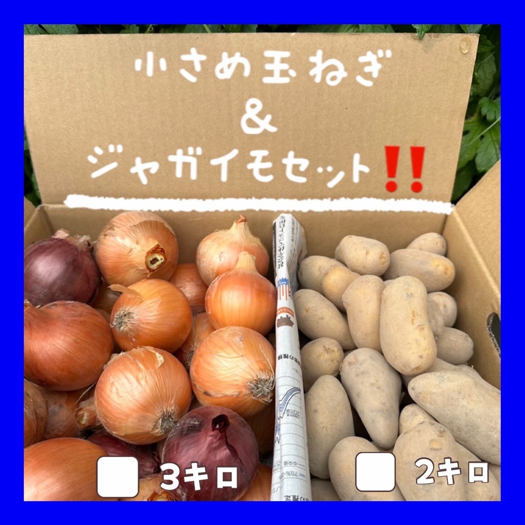 お買い得‼️小粒玉ねぎとジャガイモコラボセット❗️ 食品/飲料/酒の食品(野菜)の商品写真