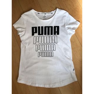 プーマ(PUMA)のPUMA Tシャツ　レディースL(Tシャツ(半袖/袖なし))